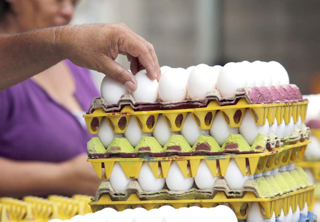 Precio de cartón de huevo vuelve a costar más de 100 lempiras
