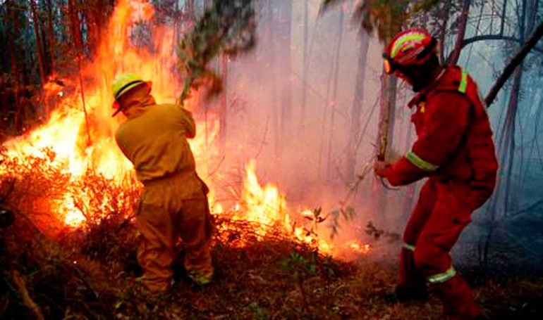 Al menos 16 incendios forestales se han reportado en lo que va del 2021