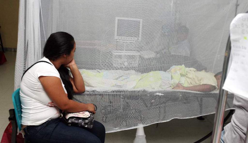 Honduras reporta 492 casos de dengue en lo que van de 2021