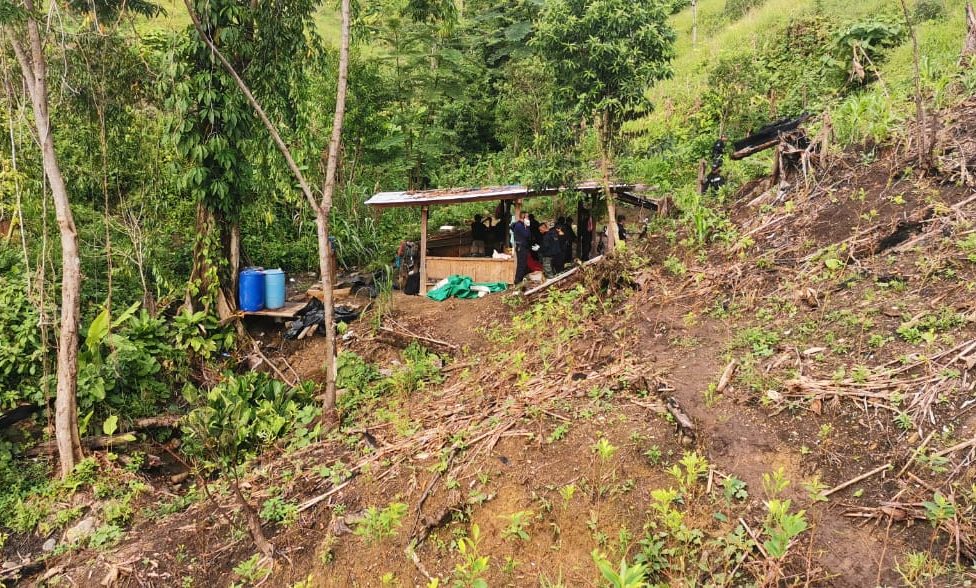 Destruyen narcolaboratorio y plantación de arbustos de coca en la zona norte del país
