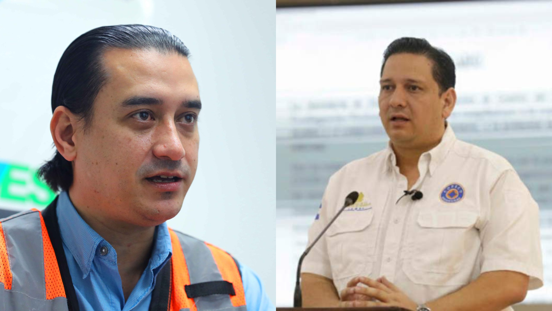IAIP sanciona a ministra Alba Consuelo Flores, Marco Bográn y Gabriel Rubí