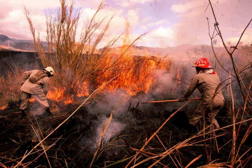Unos 21 incendios forestales a nivel nacional han sido atendidos en lo que va del 2024