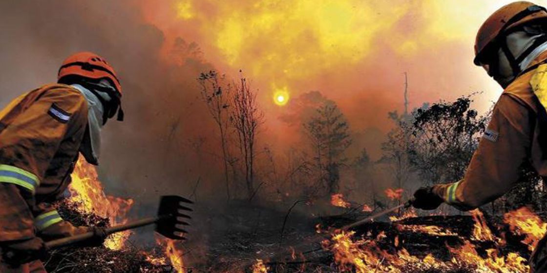 Incendios forestales han disminuido un 69% durante este 2021