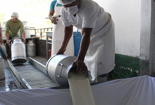 Ganaderos paralizan producción de leche por seguir en desacuerdo con artesanales