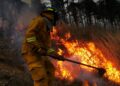 Suben a 123,801 las hectáreas devastadas por incendios forestales en el país