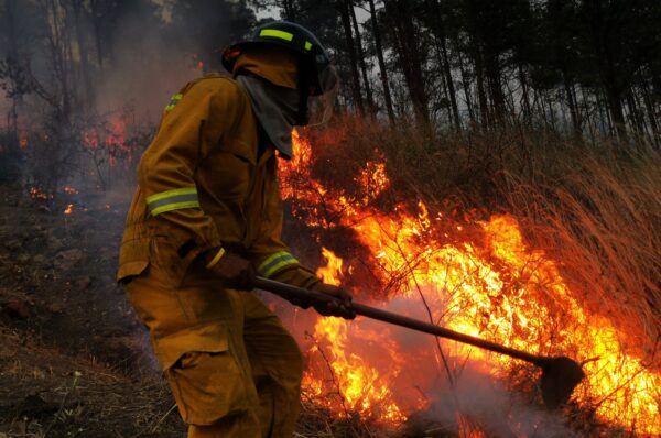 Suben a 123,801 las hectáreas devastadas por incendios forestales en el país