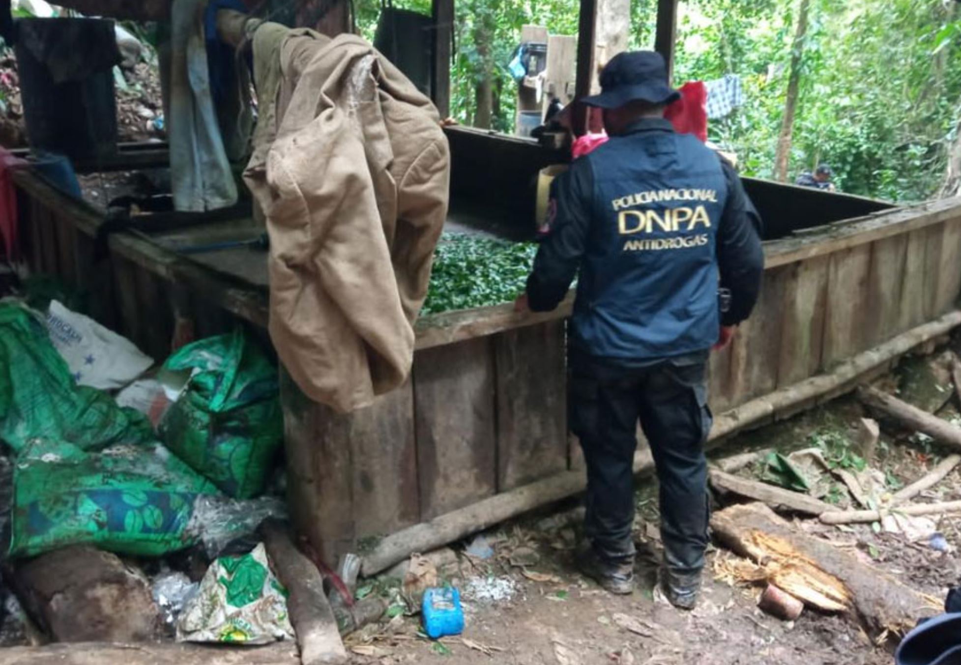 Aseguran plantaciones de coca y narcolaboratorio en Colón tras enfrentamiento