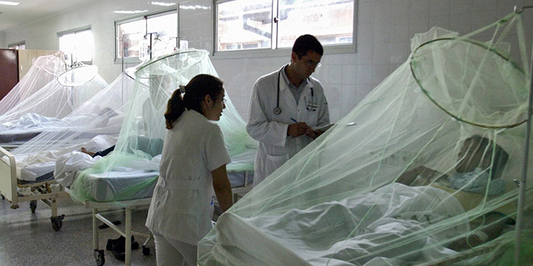 Casos de dengue en Tegucigalpa y Comayagüela aumentaron en un 300%
