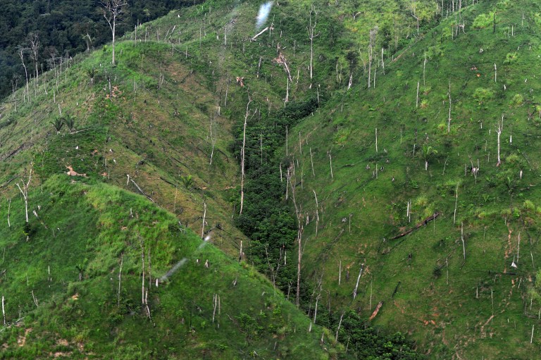 Debido a deforestación masiva, Biosfera del Rio Plátano podría desaparecer en los próximos 7 años