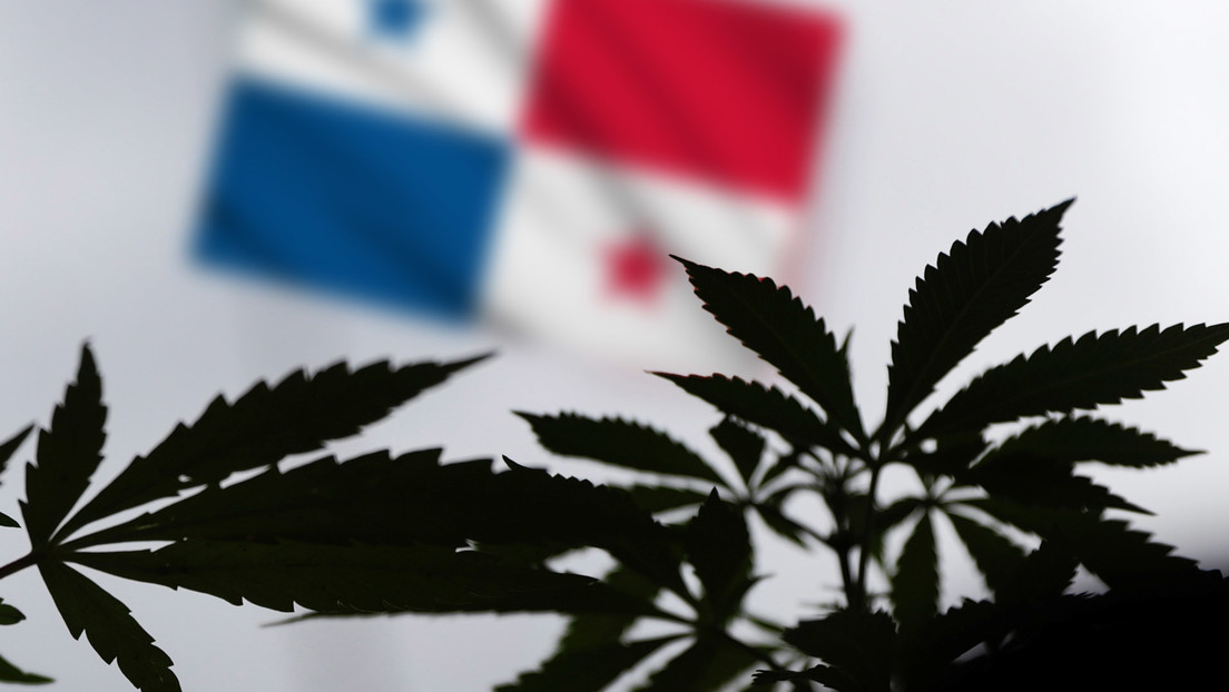 Panamá legaliza el uso medicinal y terapéutico del cannabis