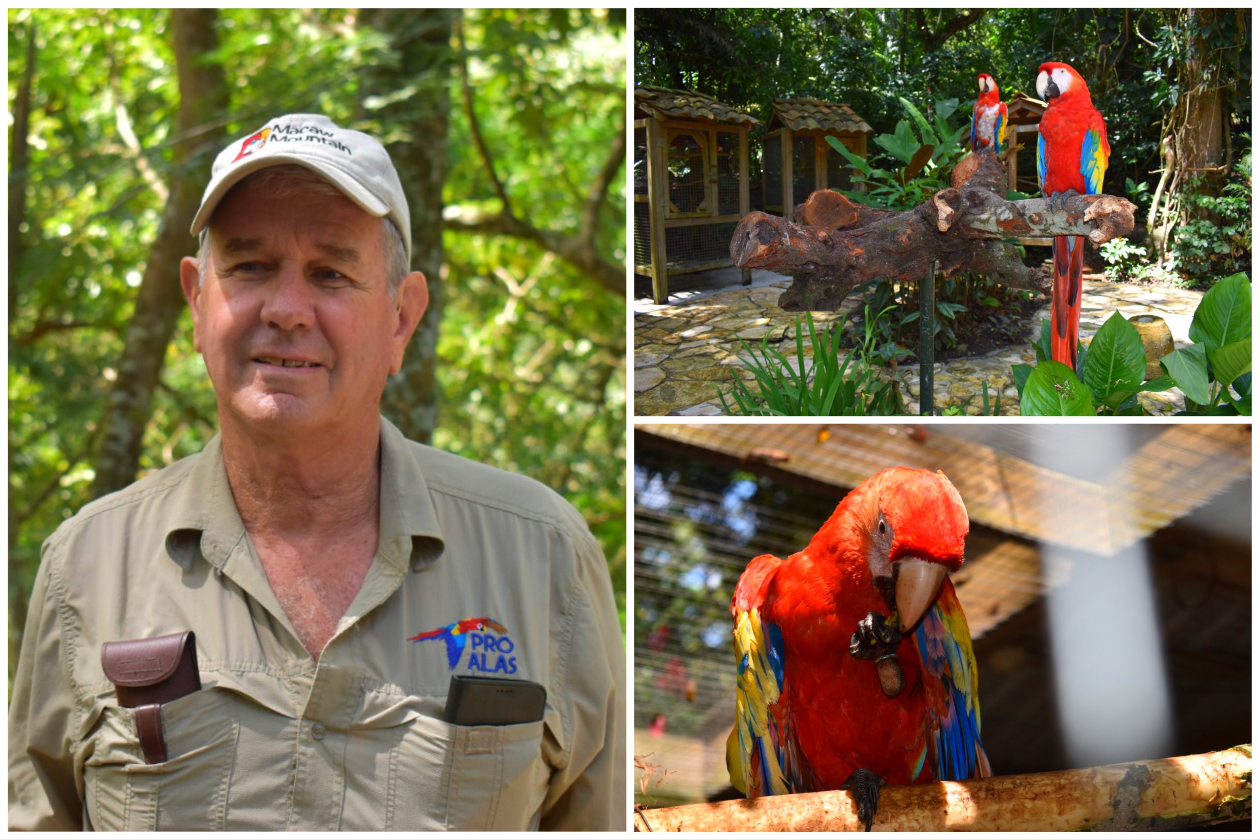 Lloyd Davidson, el “Hombre Pájaro” protector de la Guacamaya Roja en Copán