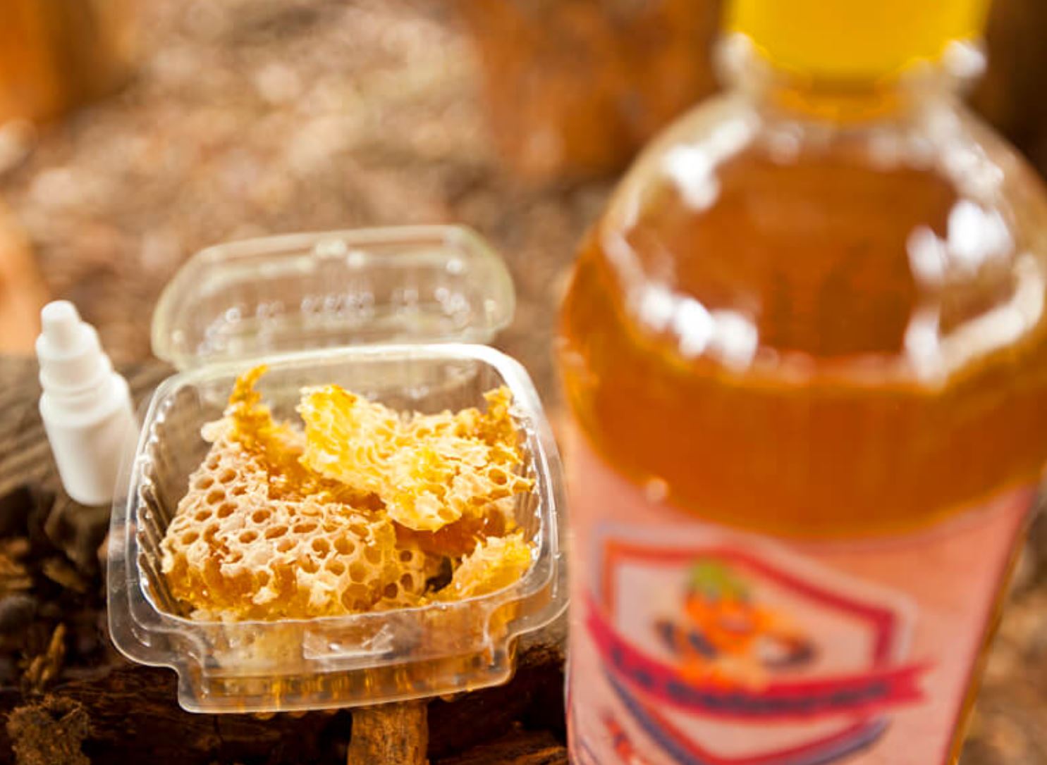Aumenta consumo de miel en el país y producción ya alcanza las 1,000 toneladas métricas