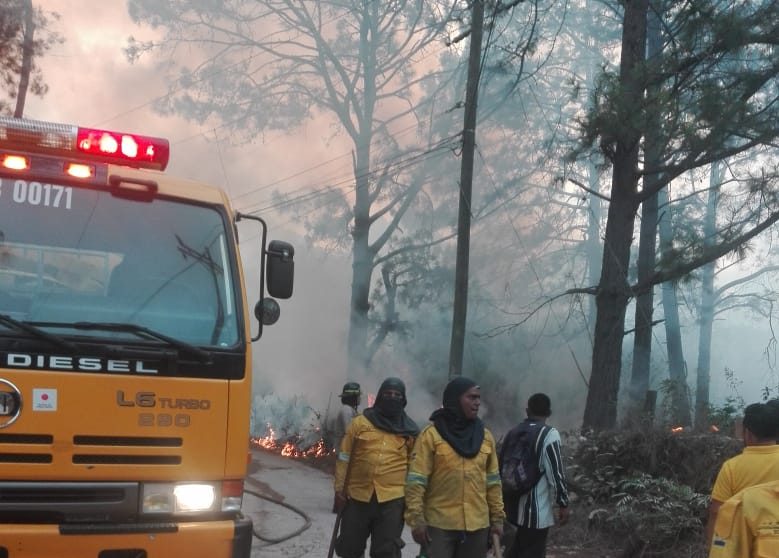 Unas 70 mil hectáreas de bosque son afectadas cada año por incendios forestales en Honduras