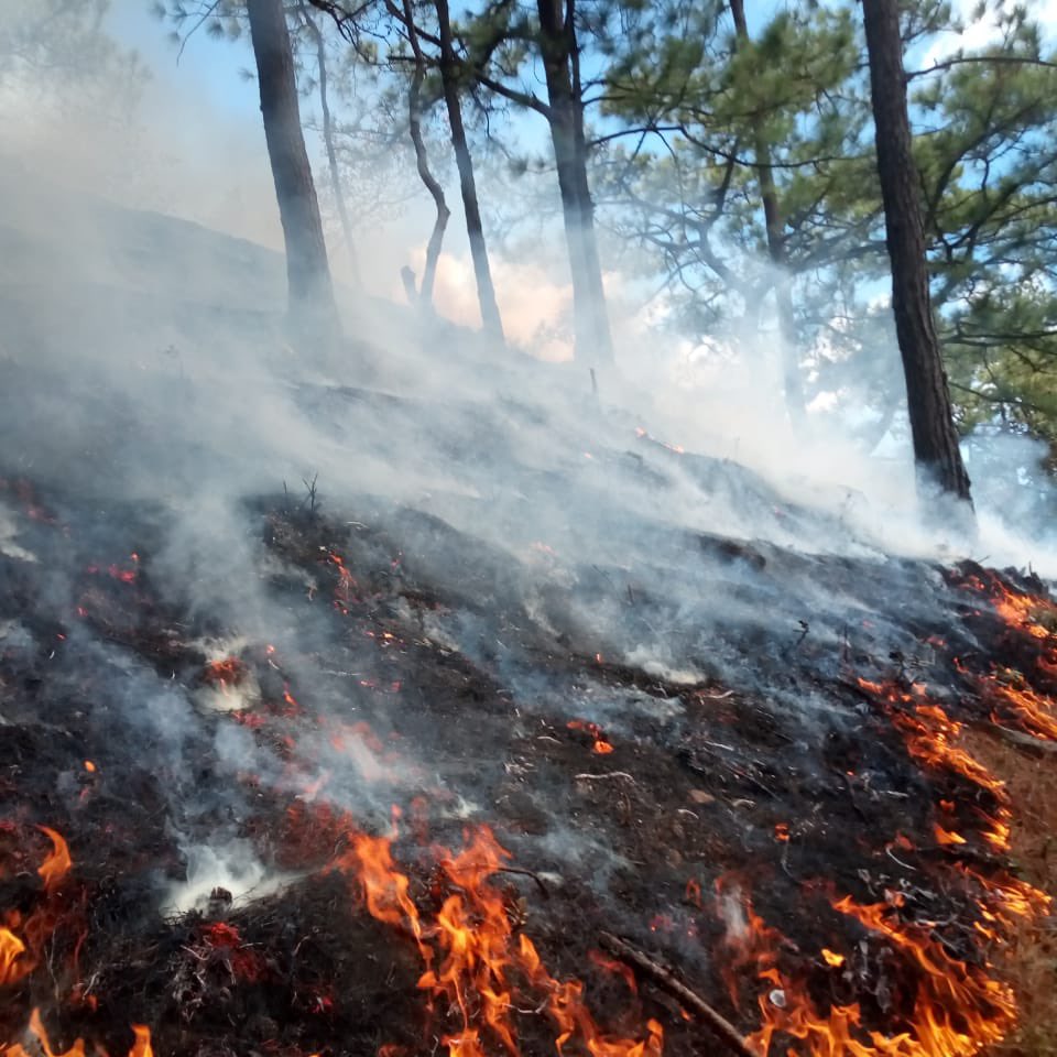El Salvador emite alerta roja tras alza de incendios forestales
