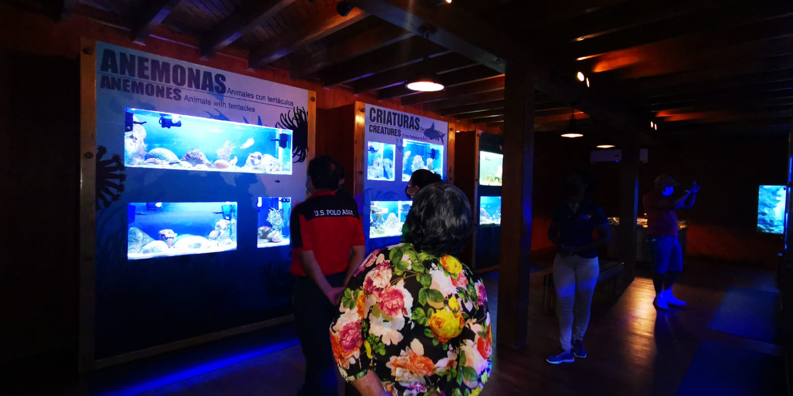 Nuevo Acuario en Tela mostrará incalculable valor de arrecifes en Honduras