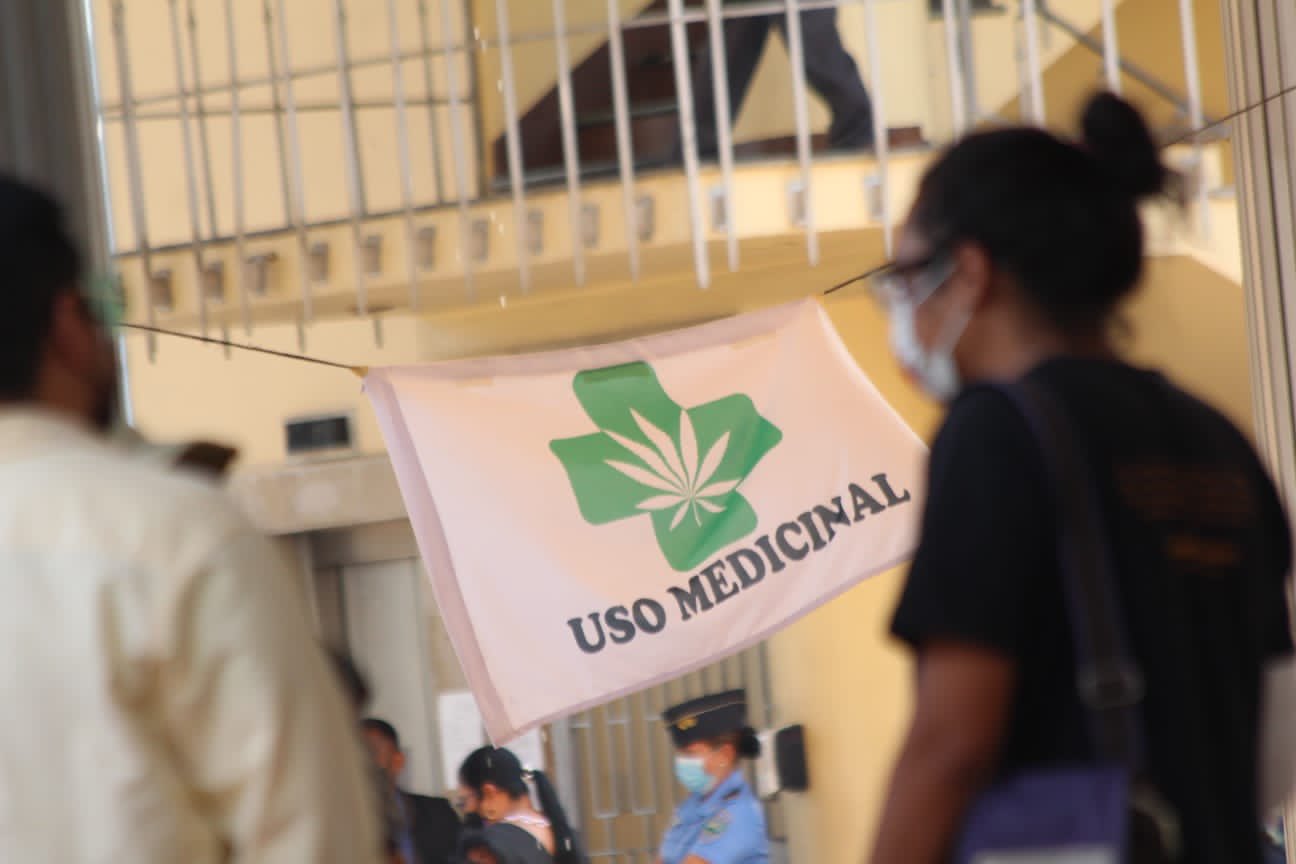 “Mel” Zelaya en contra de legalización y cultivo de marihuana en Honduras