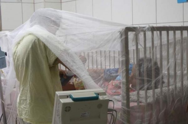 Reportan el ingreso de más menores con dengue en el IHSS