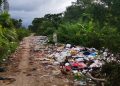 Ratificarán a Tela como «Ciudad Verde» en cabildo; pese a crisis ambiental por botaderos