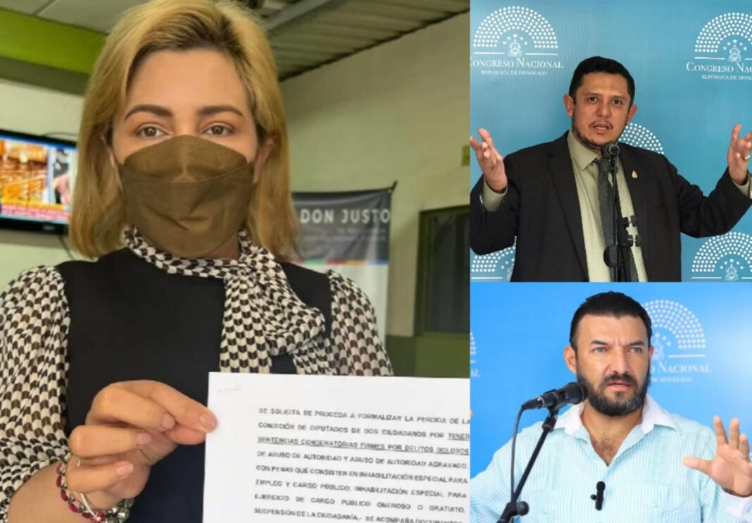 Solicitan ante el CNE la inhabilitación de los diputados Rasel Tomé y Edgardo Casaña