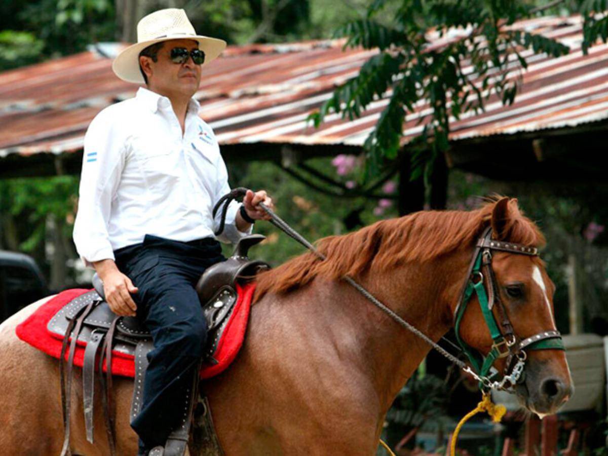 Nuevamente ponen en venta los caballos del expresidente Juan Orlando Hernández
