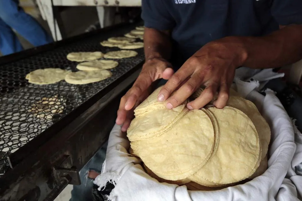 Gobierno advierte castigos a empresarios que suban el precio de la tortilla