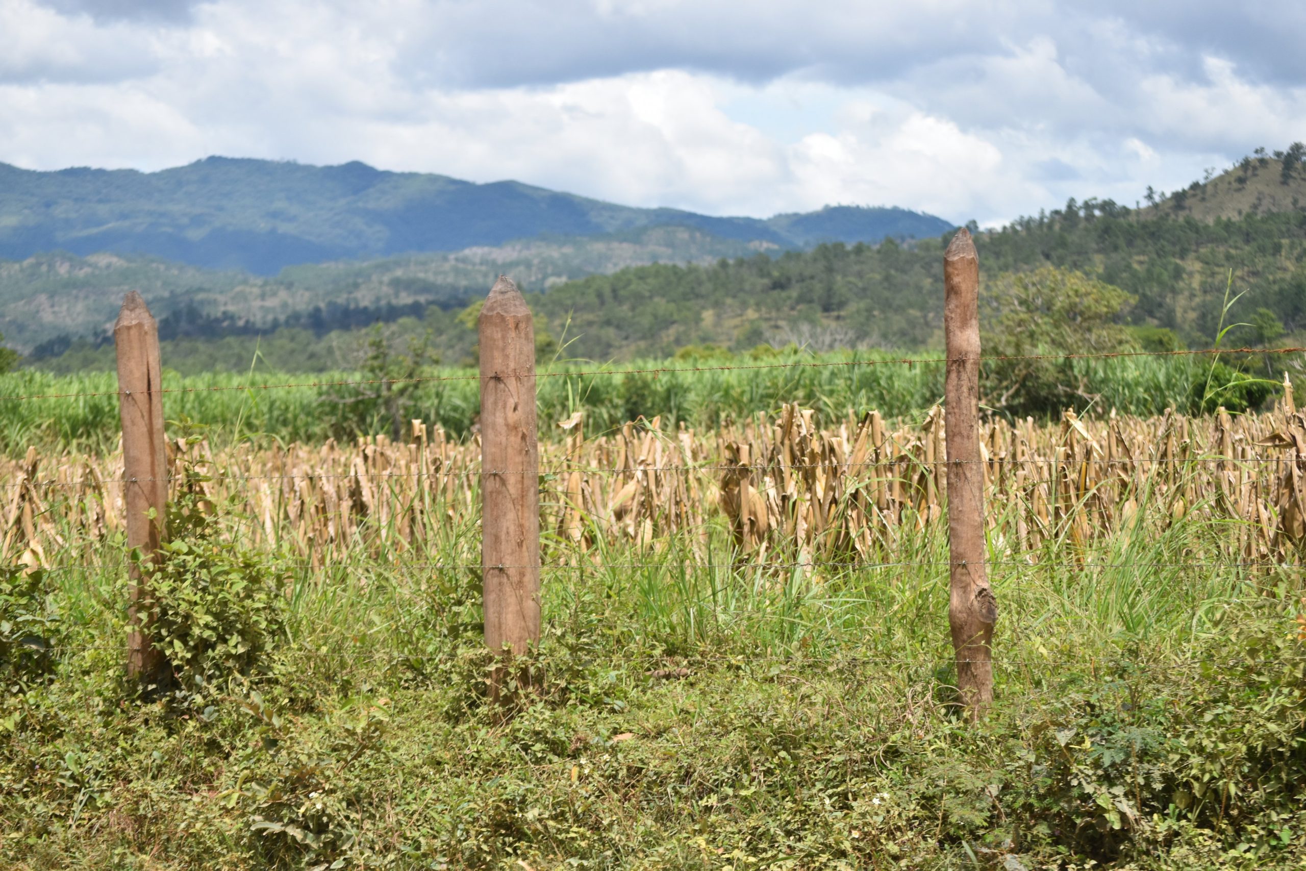Advierten de una “intensa” sequía que afectaría la producción agrícola  
