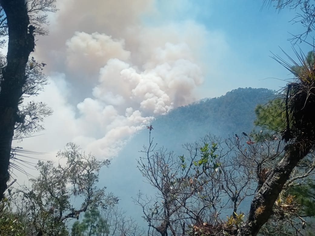 Montaña de Celaque en estado de emergencia por incendio forestal de gran magnitud