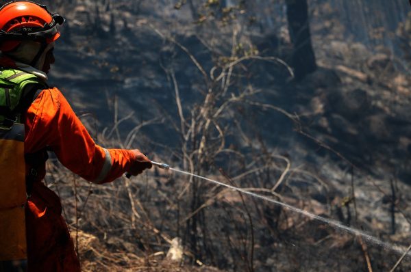 ICF reporta más de una decena de incendios forestales activos