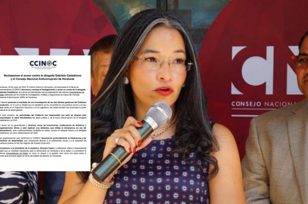 Desde CCINOC rechazan “hostigamiento y acoso” contra Gabriela Castellanos y CNA