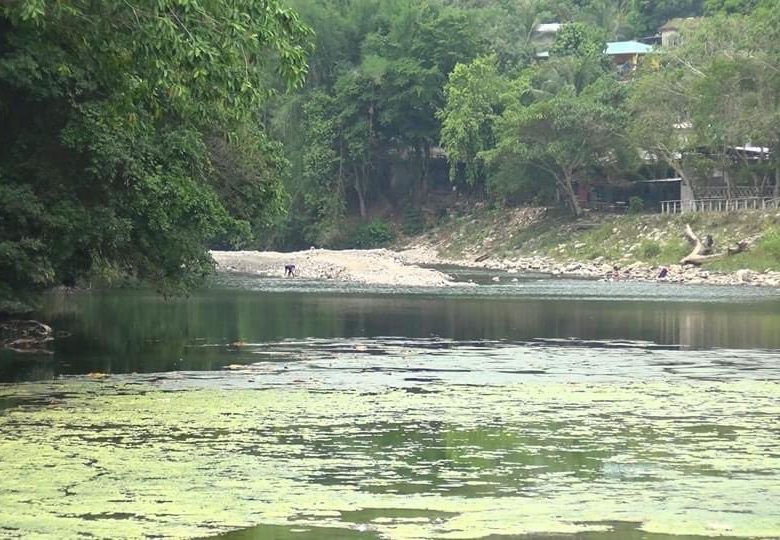 En emergencia por bajos índices de agua se encuentra el Río Danto de La Ceiba