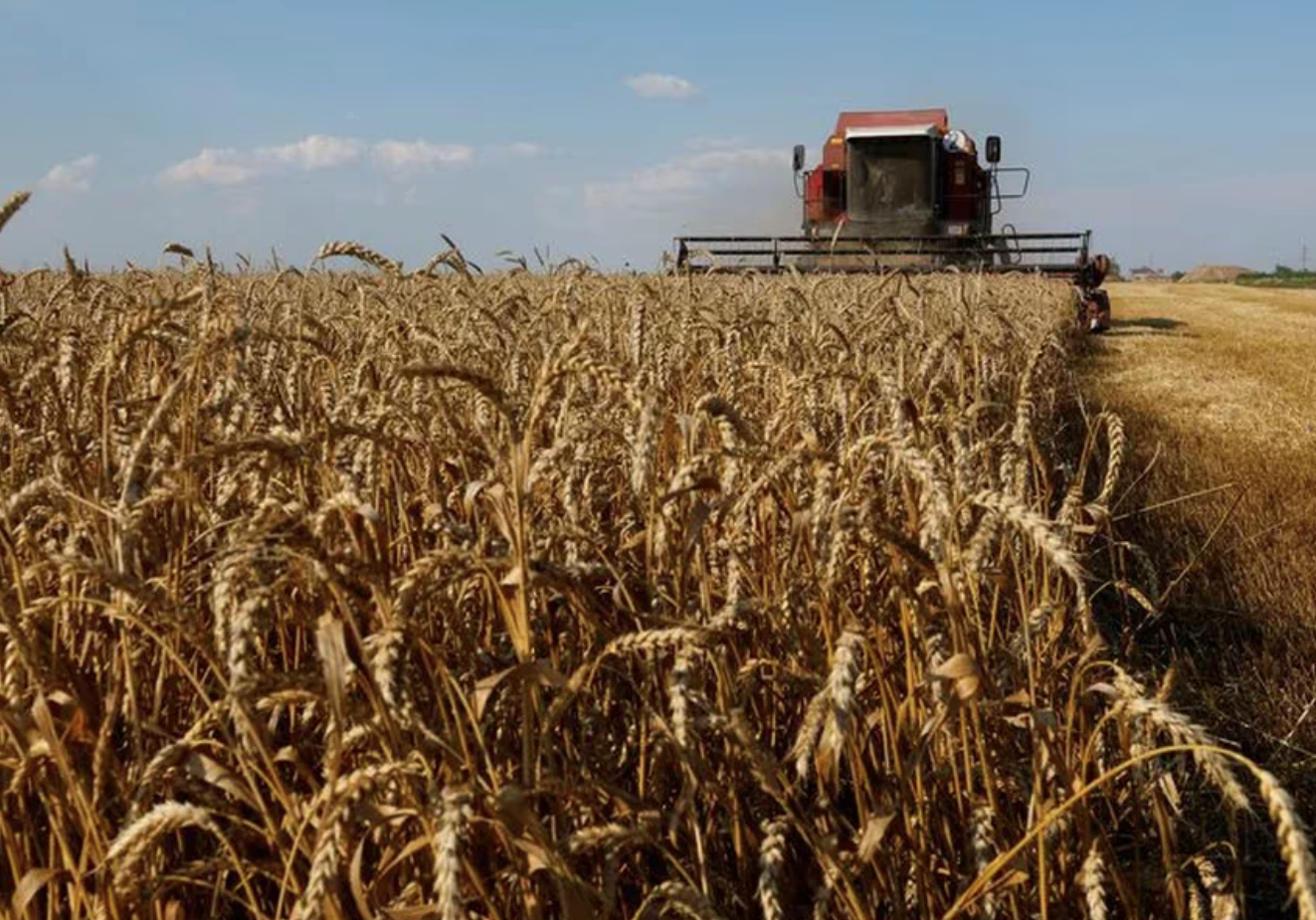Rusia suspendió el acuerdo de exportación de granos ucranianos a través del mar Negro 