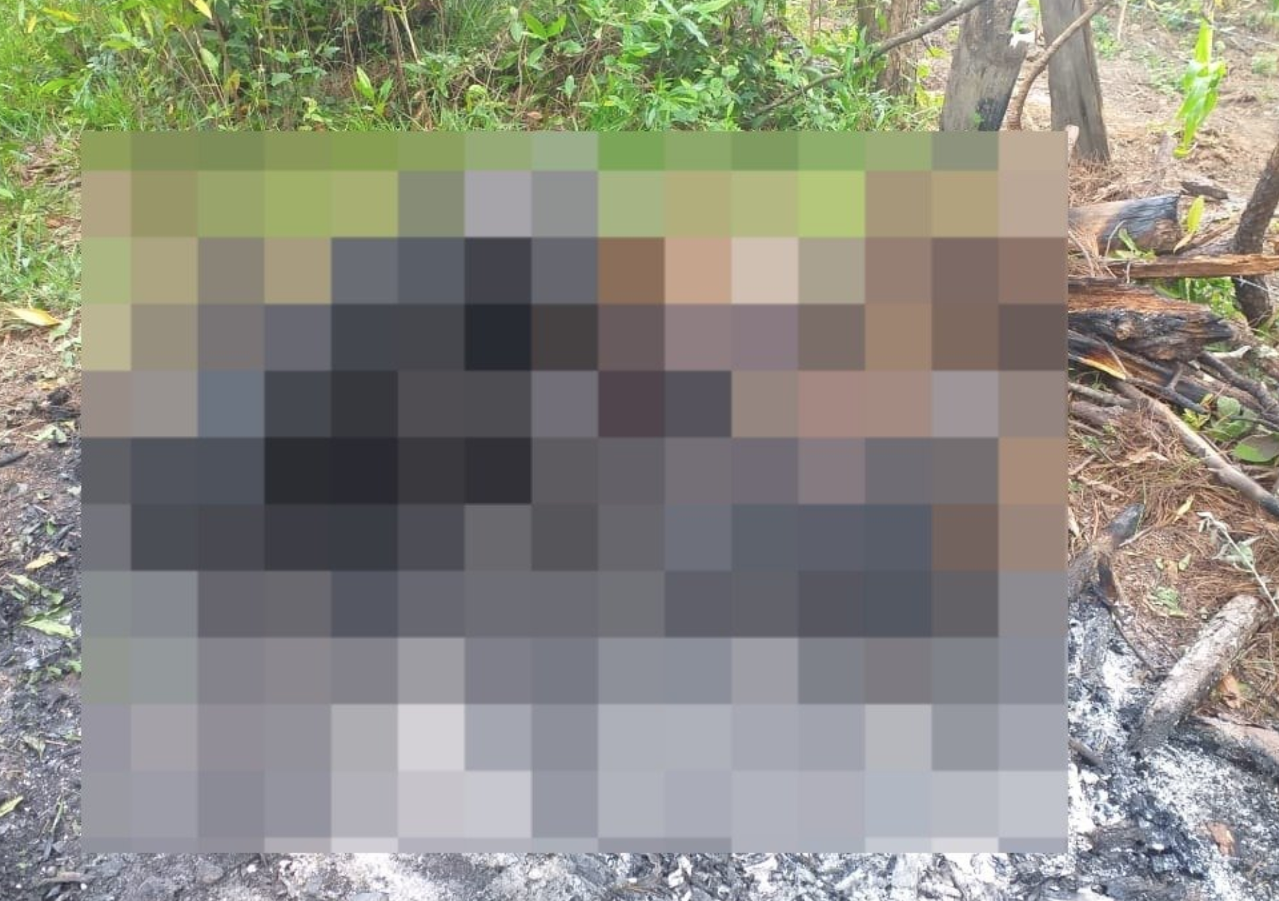 Asesinan e incineran a cuatro miembros de una familia en Intibucá  