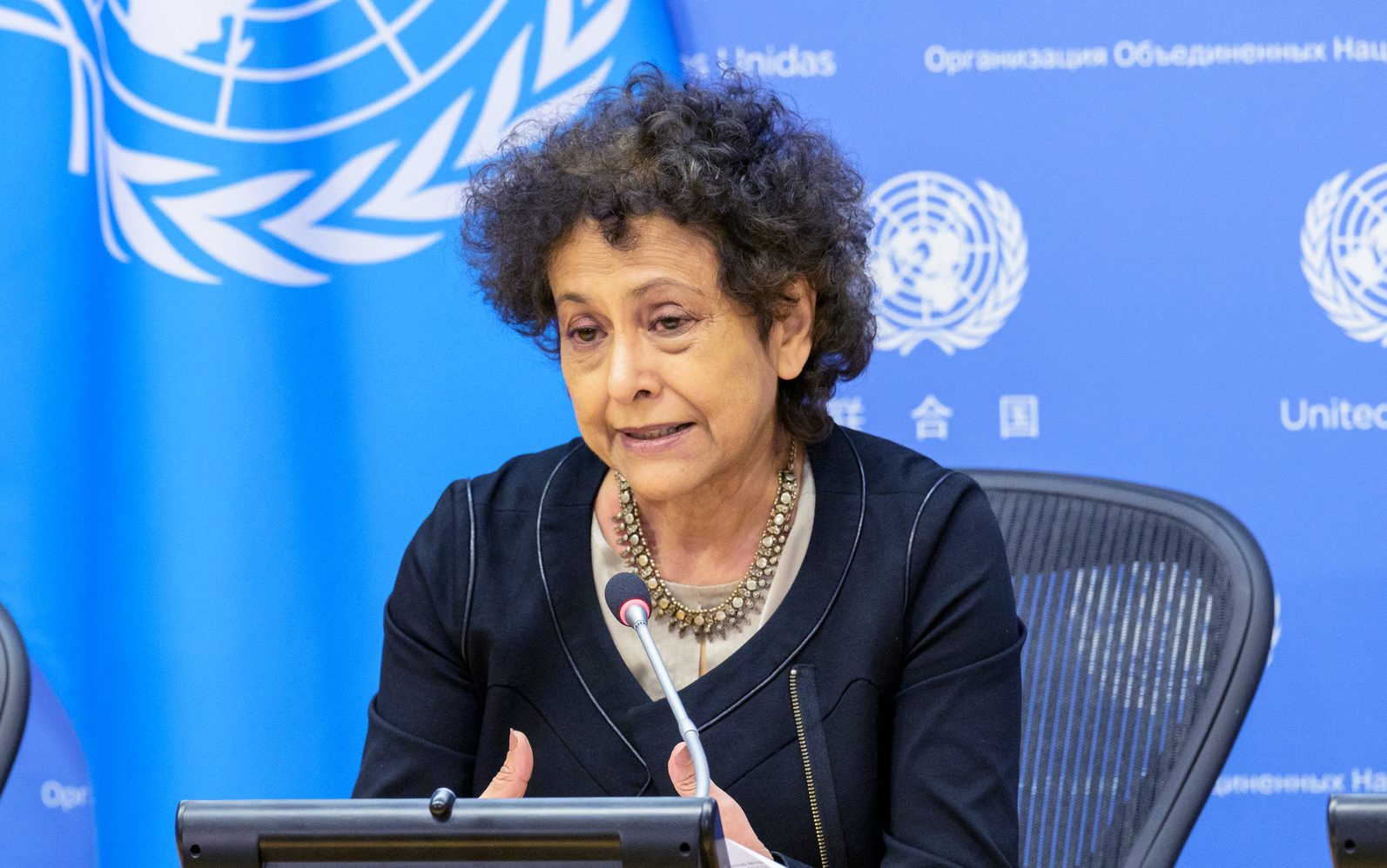 Relatora de la ONU visitará el país para abordar la libertad de opinión y expresión