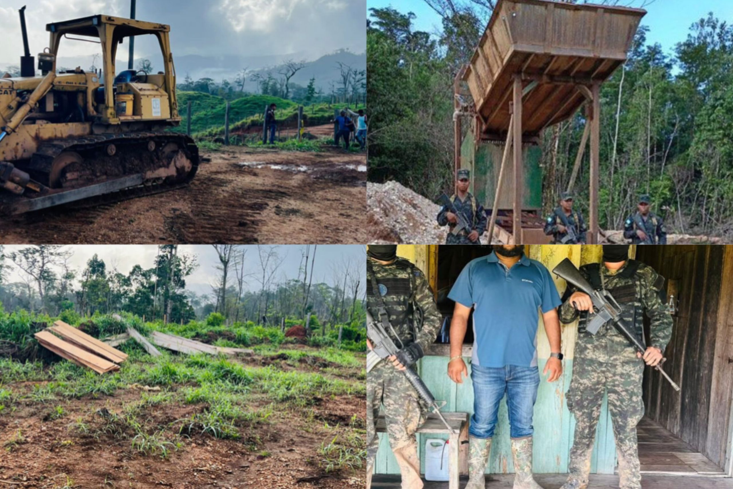 FFAA descubre tala ilegal de 100 manzanas de bosque en Gracias a Dios