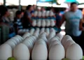 Reportan precios estables para la canasta básica en la capital y una baja en costo de los huevos