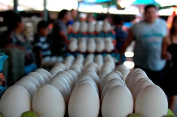 Reportan precios estables para la canasta básica en la capital y una baja en costo de los huevos