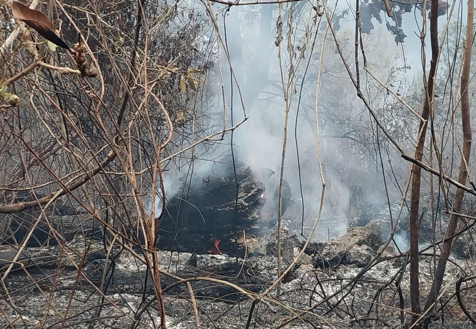 Al menos 600 hectáreas fueron afectadas por el pavoroso incendio en La Tigra