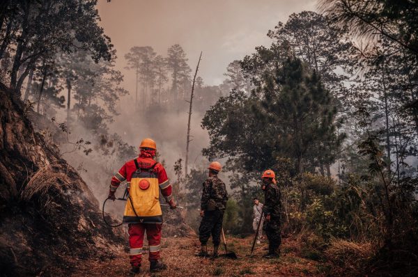 Aumentan a 161 mil las hectáreas de bosque afectadas por incendios en Honduras