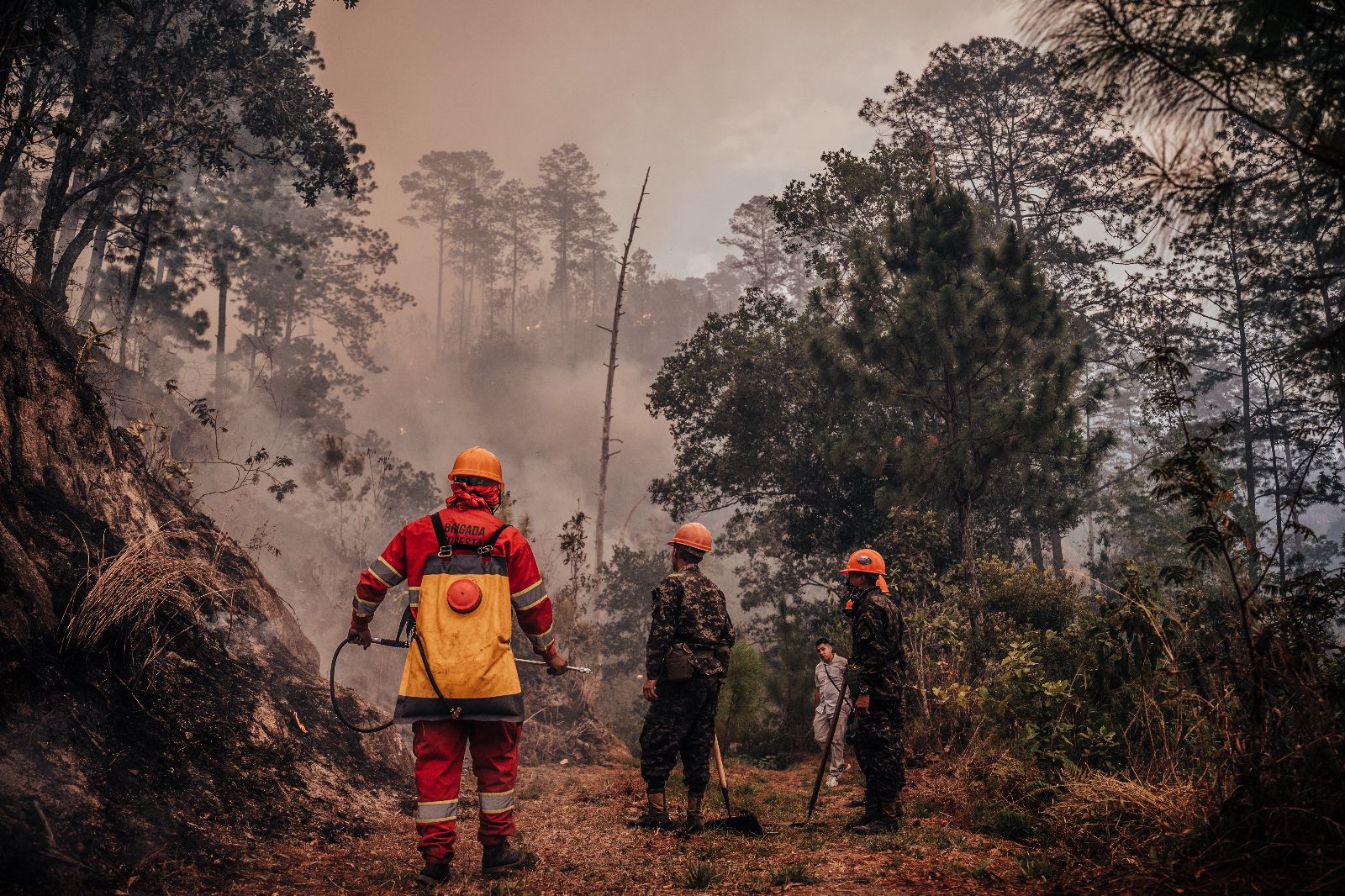 Alrededor de 30 incendios forestales están activos en el país, confirma el ICF