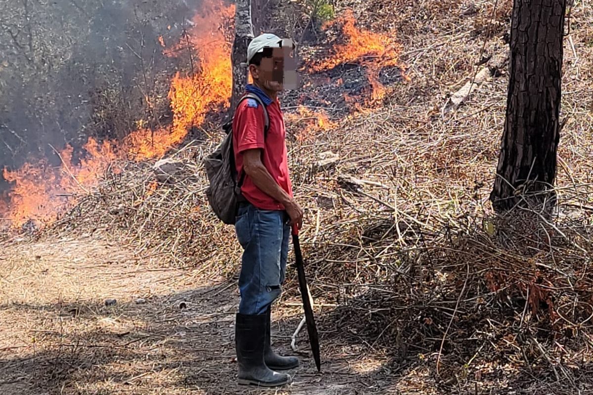 Al menos 24 detenidos por delitos ambientales entre ellos por provocar incendios forestales